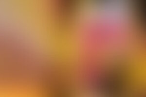 Фотография квеста Армагеддон от компании Кульминация (Фото 2)