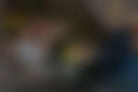 Квиз «Freddieshow» от Freddieshow