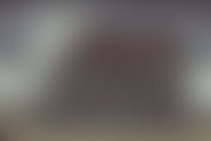 Фотография перформанса Проклятый дом от компании Психоделика (Фото 1)