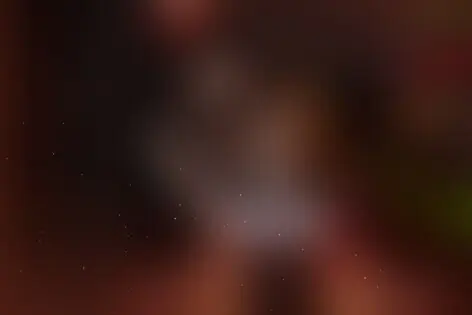Квест «Джокер» от Квестленд