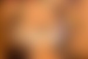 Фотография квеста Приключения Индианы Джонса от компании Квестленд (Фото 1)