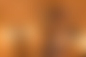 Фотография квеста Приключения Индианы Джонса от компании Квестленд (Фото 2)